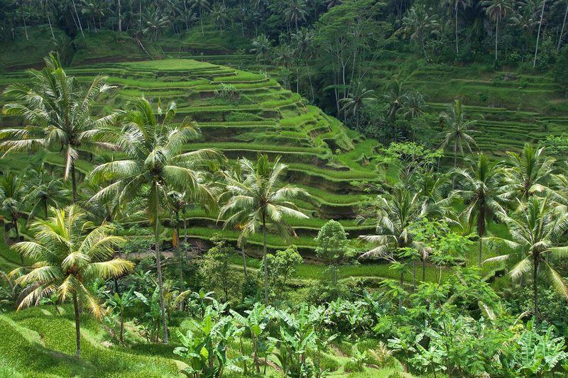 Bali, Indonesia