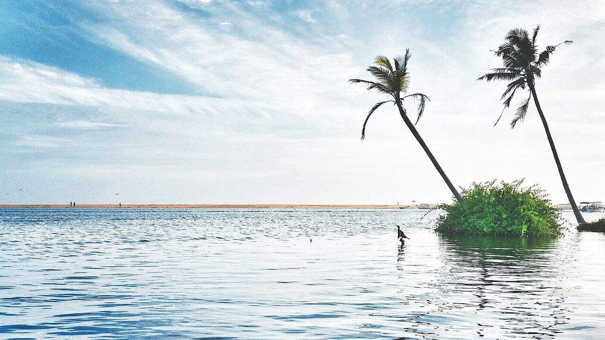 Kerala Complete — 9 Nights