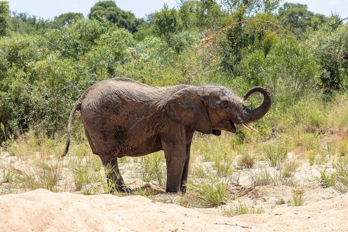 South Africa