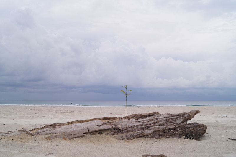 Reef off Havelock — Andaman & Nicobar, India